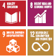 sdgs-icons icon