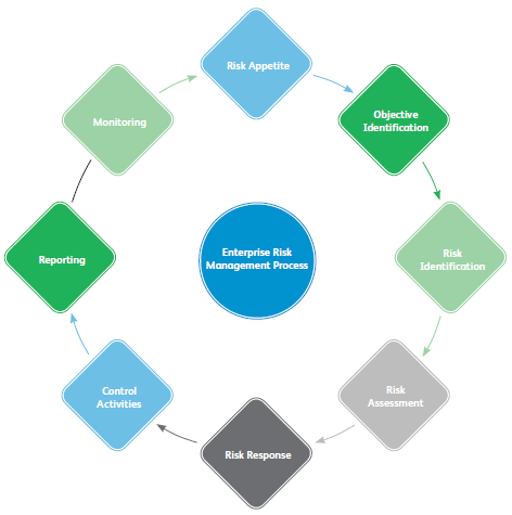 Enterprise Risk Management Process